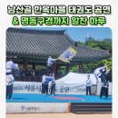 꿈나무마을어린이집 | 하이남매도 반한 명동 남산골 한옥마을 태권도 공연! 아이와 주말 서울 나들이 추천