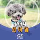 Dr.오즈동물병원 이미지