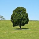 올림픽공원 이미지