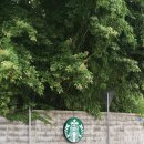 스타벅스기장임랑점 이미지