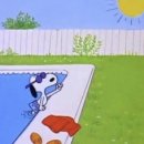 그해여름 이미지