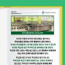 인천한들초등학교 이미지