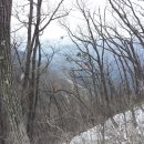 영동목장 이미지