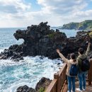 무지개카정비 | 제주 공항 내리자마자 어디 가지? 아이와 함께 즐기는 제주시 필수 코스 완전 정복