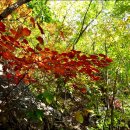 하양하양 이미지