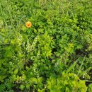 정선공인중개사사무소 이미지