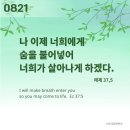⛪️ 성 비오 10세 교황 기념일 이미지