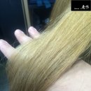 로즈살롱 - 성북구 | 로즈살롱