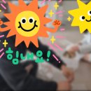 와우펫 | 대구 소동물·파충류 분양 후기｜햄스터·도마뱀 분양 가능한 와우펫앤쥬 대구점