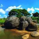 조영희목장 이미지