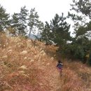 금오도황토민박 이미지