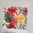 색연필 일러스트 & 보타니컬 아트 이미지