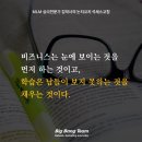 비즈앤라이프컴퍼니