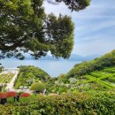 대전광역시청 이미지