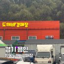 우리만물센터 | 용인 만물도깨비 경매 다녀온 후기 주차장 꿀팁