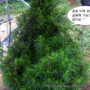 별이네농장 이미지