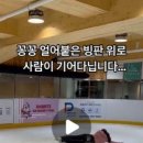 MZ따라잡기 인스타그램 이미지