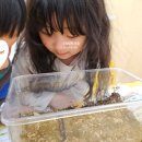 생각이 자라는 창의 사고력 수학 이미지