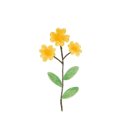 (주)네츄럴굿띵스