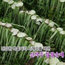 신의주찹쌀순대와쭈꾸미 이미지