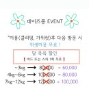 데이즈몽 애견미용샵 이미지