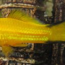 (주)그린크루즈 이미지