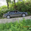 백마농장 이미지