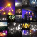 백양루시드 | 아직 못 다한 2015년 공연 이야기 (2/2)