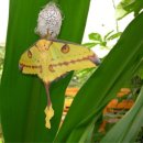 스타트라인 이미지