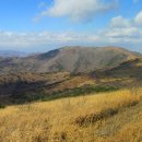 은수상회 이미지