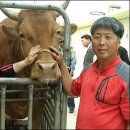 순이농장 이미지