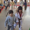 용인대 최강 태권도 도장 이미지