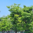 세븐일레븐 아산블루크리스탈점 | [이순신종합운동장] K리그2 14R 충남 아산FC vs 수원삼성 블루윙즈 직관 후기 먹거리 VIP테이블석