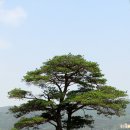 산림원 이미지