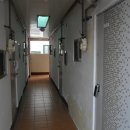 사림동239 이미지