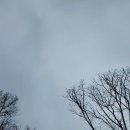 노태공원 화장실 이미지