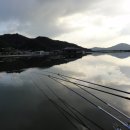 차평낚시터 이미지