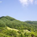 오해피펜션