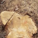 은평-060 이미지