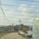 임실식물원 네이버블로그