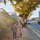 금비농장 이미지