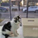 동근농장 이미지