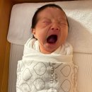 베르사유산후조리원 | 송파, 잠실, 강동 | 베르사유 산후조리원 24시간 모자동실 후기 (내가 우겨서 시작한) (25.5.22~6.4)