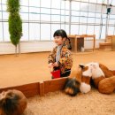 으니농장 이미지