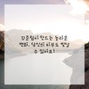 피부정원 이미지