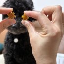 (주)제주덴탈 이미지