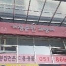 개청순한고양이 이미지