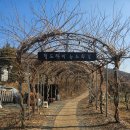 하비리조트 | 대구 근교 글램핑 아이들과 가기 좋은 청도글램핑 하비리조트 글램핑