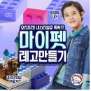 용인대학교 스타태권도장 이미지