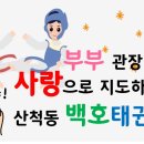 호랑이들 태권도장 이미지